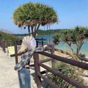 ヒメ日記 2025/04/10 15:05 投稿 カリナ 大宮ウィング