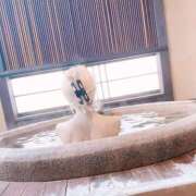 ヒメ日記 2025/04/15 18:25 投稿 カリナ 大宮ウィング