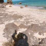 ヒメ日記 2025/04/17 12:25 投稿 カリナ 大宮ウィング