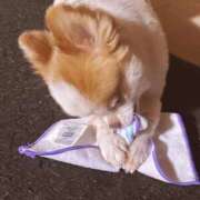 ヒメ日記 2025/04/18 12:45 投稿 カリナ 大宮ウィング