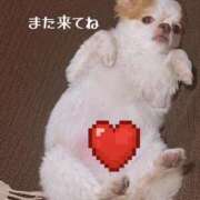 ヒメ日記 2025/04/27 15:06 投稿 カリナ 大宮ウィング