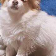 ヒメ日記 2025/05/09 12:45 投稿 カリナ 大宮ウィング