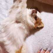 ヒメ日記 2025/05/11 12:07 投稿 カリナ 大宮ウィング