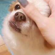 ヒメ日記 2025/05/18 15:15 投稿 カリナ 大宮ウィング