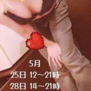 ヒメ日記 2025/05/25 12:45 投稿 カリナ 大宮ウィング