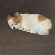 ヒメ日記 2025/06/13 12:18 投稿 カリナ 大宮ウィング