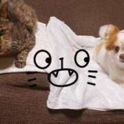 ヒメ日記 2025/08/24 15:05 投稿 カリナ 大宮ウィング