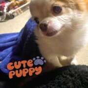 ヒメ日記 2026/01/16 15:18 投稿 カリナ 大宮ウィング