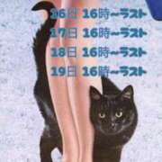 カリナ 今週の出勤予定とありがとう🖤 大宮ウィング