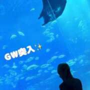 ヒメ日記 2026/04/30 15:45 投稿 カリナ 大宮ウィング