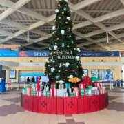 ヒメ日記 2024/12/13 22:24 投稿 掛布まゆみ 横浜プロダクション