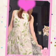 ヒメ日記 2025/07/06 12:49 投稿 掛布まゆみ 横浜プロダクション