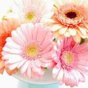 ヒメ日記 2025/07/20 19:49 投稿 掛布まゆみ 横浜プロダクション