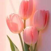 ヒメ日記 2025/07/25 19:47 投稿 掛布まゆみ 横浜プロダクション