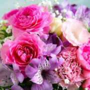 ヒメ日記 2025/07/27 22:48 投稿 掛布まゆみ 横浜プロダクション