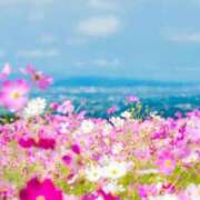 ヒメ日記 2025/08/08 20:19 投稿 掛布まゆみ 横浜プロダクション