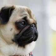 ヒメ日記 2025/08/20 10:20 投稿 掛布まゆみ 横浜プロダクション