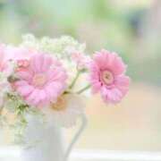 ヒメ日記 2025/08/24 20:28 投稿 掛布まゆみ 横浜プロダクション