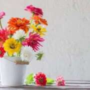 ヒメ日記 2025/08/31 22:32 投稿 掛布まゆみ 横浜プロダクション