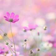 ヒメ日記 2025/09/12 21:10 投稿 掛布まゆみ 横浜プロダクション