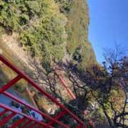 ヒメ日記 2025/02/27 03:35 投稿 せおり フェチクラブ