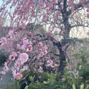 ヒメ日記 2025/03/15 12:48 投稿 せおり フェチクラブ