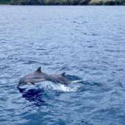 ヒメ日記 2025/08/01 12:52 投稿 せおり フェチクラブ