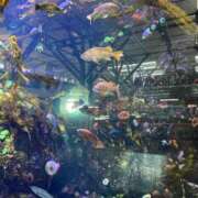 ヒメ日記 2025/09/03 21:17 投稿 せおり フェチクラブ