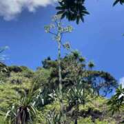 ヒメ日記 2025/09/27 17:58 投稿 せおり フェチクラブ