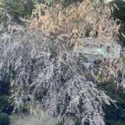 ヒメ日記 2025/10/02 02:48 投稿 せおり フェチクラブ