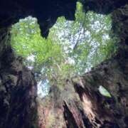 ヒメ日記 2025/10/07 19:54 投稿 せおり フェチクラブ