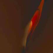 ヒメ日記 2025/11/02 15:41 投稿 せおり フェチクラブ