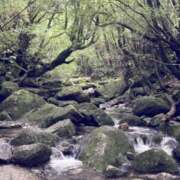 ヒメ日記 2025/11/08 20:19 投稿 せおり フェチクラブ