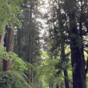 ヒメ日記 2025/11/22 20:10 投稿 せおり フェチクラブ