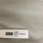 ヒメ日記 2025/03/03 14:18 投稿 カナミ(奥方) 奥様幕府