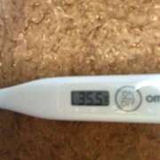 ヒメ日記 2025/03/05 13:17 投稿 カナミ(奥方) 奥様幕府