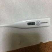 ヒメ日記 2025/03/06 13:57 投稿 カナミ(奥方) 奥様幕府