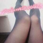 ヒメ日記 2026/01/15 19:15 投稿 ひかり 夜這い茶屋 はなれ