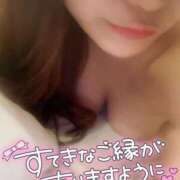 ヒメ日記 2026/07/25 07:19 投稿 ひかり 夜這い茶屋 はなれ