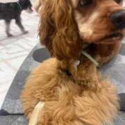 ヒメ日記 2025/06/13 19:26 投稿 たまも 久留米デリヘルセンター