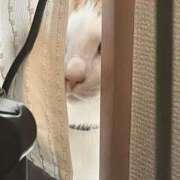 ヒメ日記 2025/07/22 19:15 投稿 るか MINT（ミント）