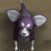 ヒメ日記 2025/08/31 18:30 投稿 るか MINT（ミント）