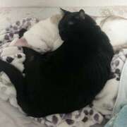 ヒメ日記 2025/09/01 18:45 投稿 るか MINT（ミント）