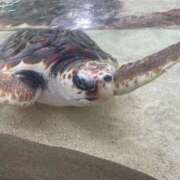 ヒメ日記 2025/09/16 19:30 投稿 るか MINT（ミント）