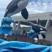 ヒメ日記 2025/10/12 19:15 投稿 るか MINT（ミント）