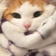 ヒメ日記 2025/10/15 19:02 投稿 るか MINT（ミント）