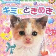 ヒメ日記 2025/10/24 19:01 投稿 るか MINT（ミント）