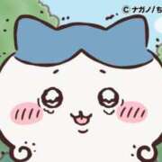 ヒメ日記 2025/11/28 19:30 投稿 るか MINT（ミント）