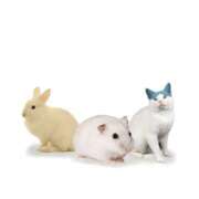 ヒメ日記 2025/12/01 19:30 投稿 るか MINT（ミント）