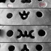 るか きいてー MINT（ミント）